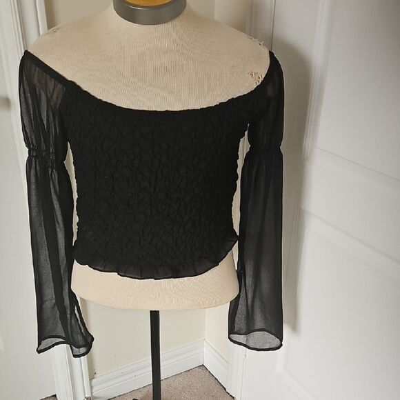 Elegant Black Smocked Sheer Long Sleeve Blouse - Picture 8 of 16